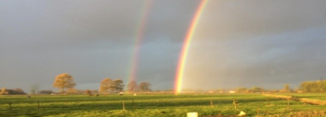 Regenboog.jpeg